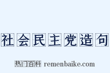 社会民主党造句是什么意思的图片